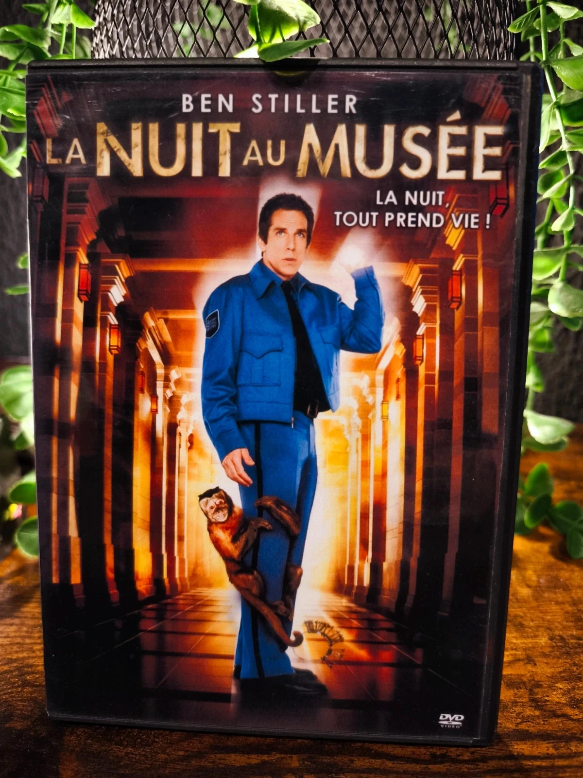 La nuit au musée
